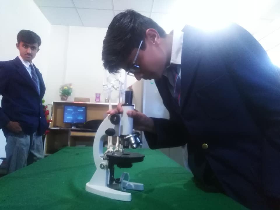 lab