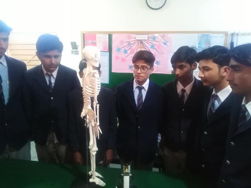 lab